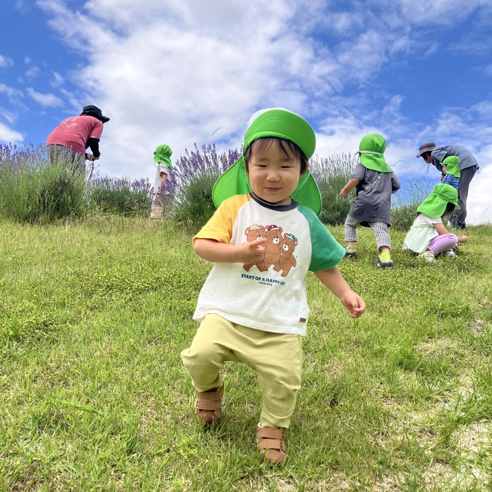ラベンダー写真2